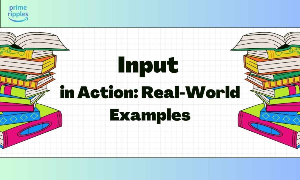 input-vs-imput