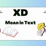 xd-mean-in-text