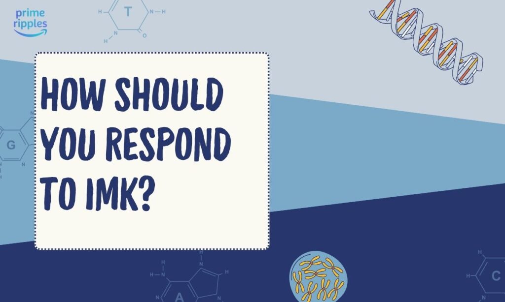 imk-meaning-in-text (2)