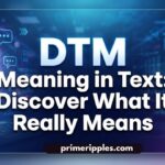 DTM Meaning in Text