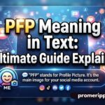 PFP Meaning in Text