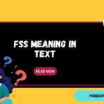 FSS Meaning in Text