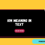 ION Meaning in Text