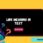 LWK Meaning in Text