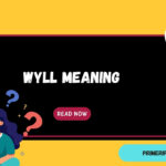 WYLL Meaning